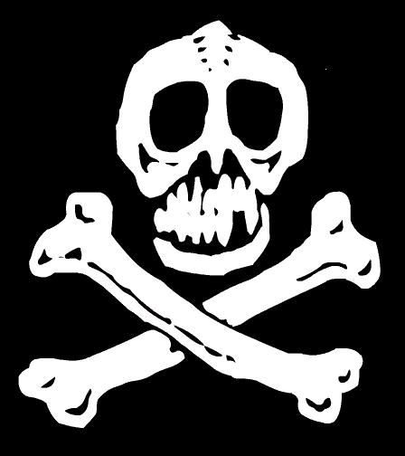 rs skull & crossbones.jpg