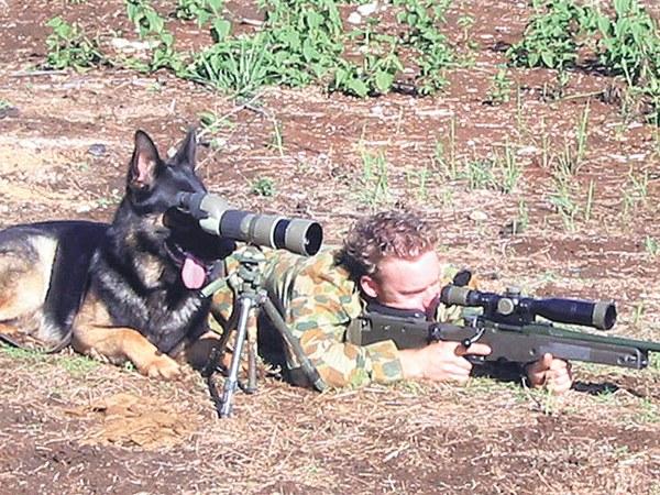 Mutt and Junkyard.jpg
