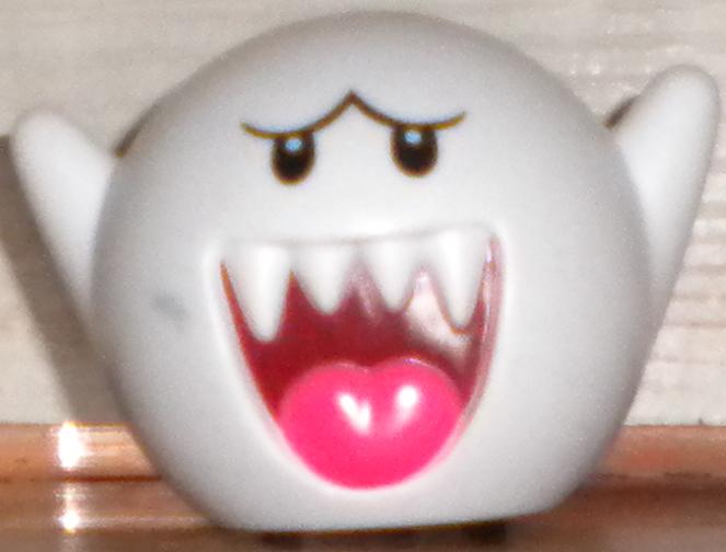 DSCN2466.jpg