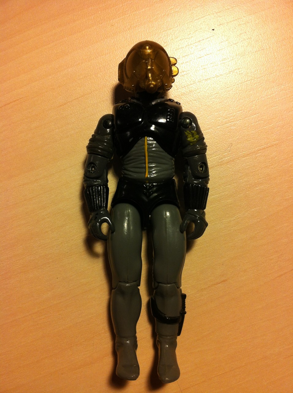 cobra_pilot2.jpg