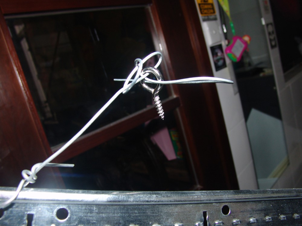 DSC09895.JPG