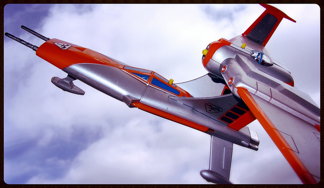 Hawkwing.jpg