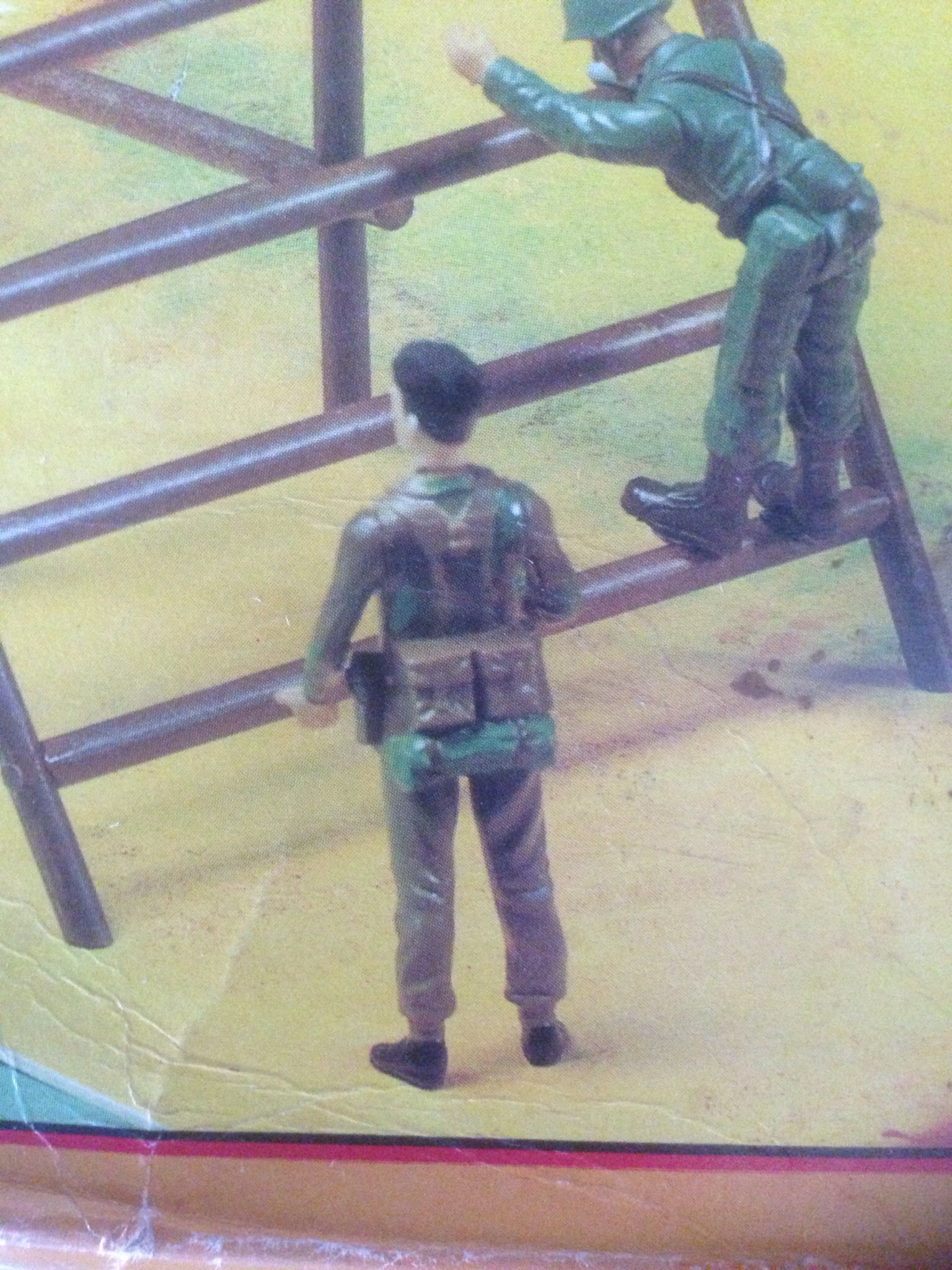 image.jpg