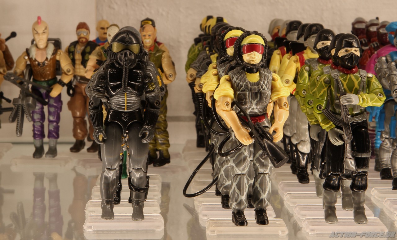 Python Patrol and customs