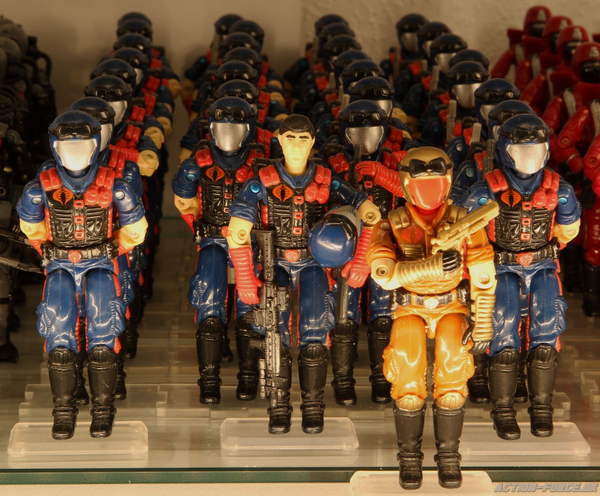 Vipers