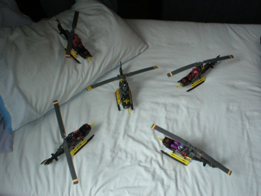 Is hawk doomed 001.JPG