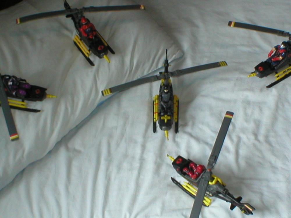 Is hawk doomed 008.JPG