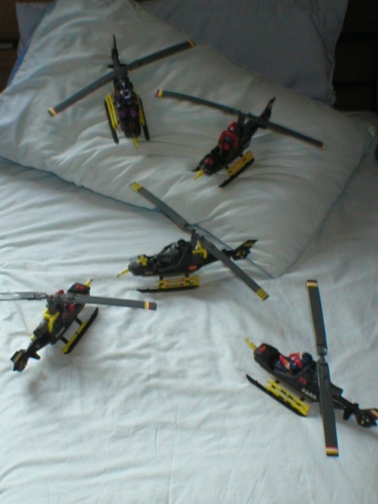 Is hawk doomed 006.JPG