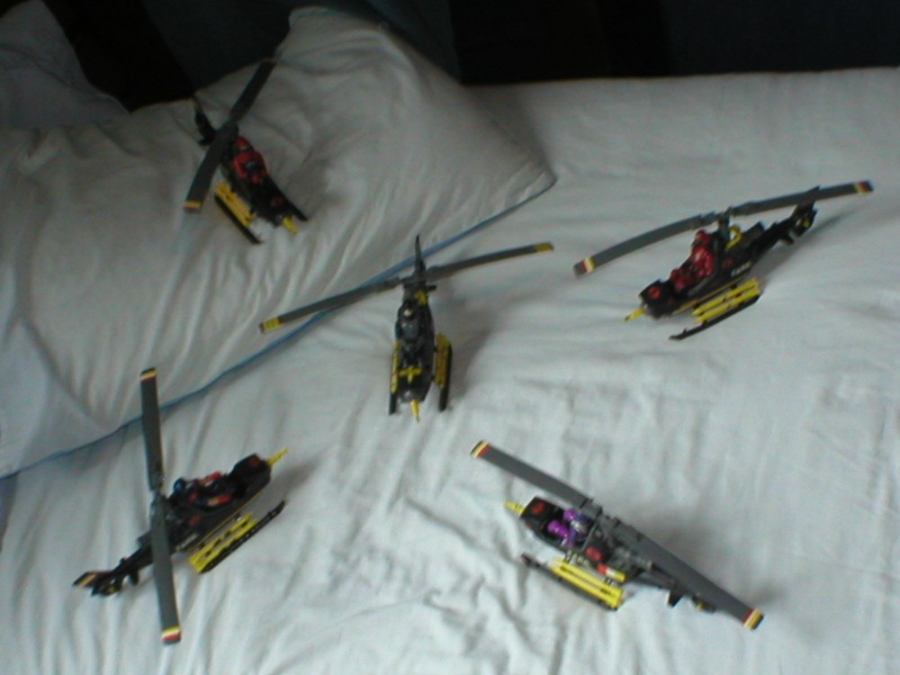 Is hawk doomed 002.JPG