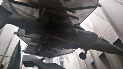 Harrier
