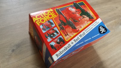 V1 roboskull