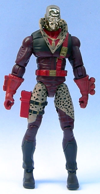 destro15blarge.jpg