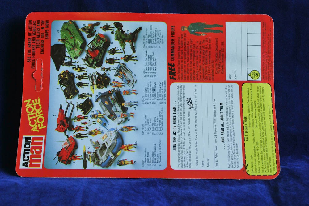 Card Back (2 of 3).jpg