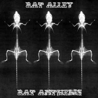 RATCOVXRAY.jpg