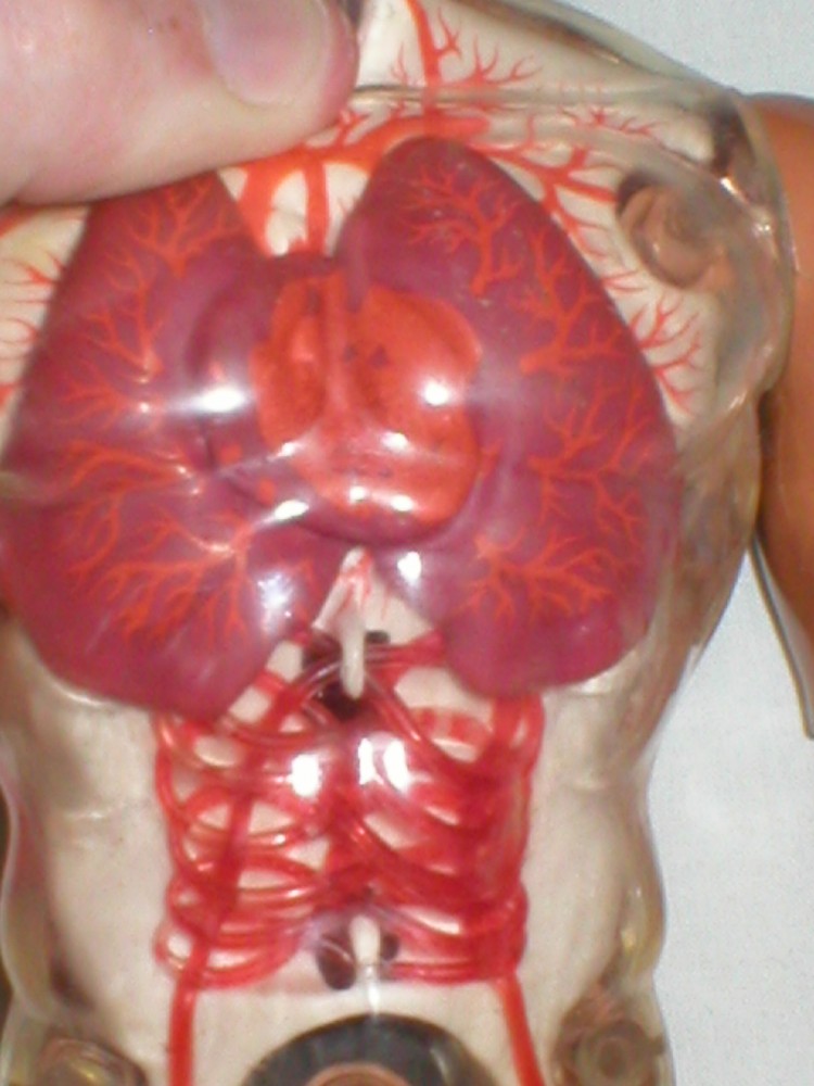pulsar man 004.JPG