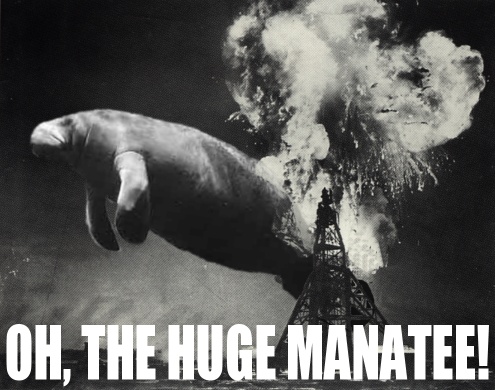 Huge%20Manatee.jpg