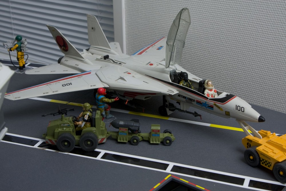 11_eagle2.jpg