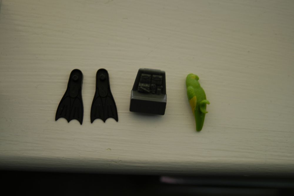 Eel Flippers_Firefly pack_Shipwreck parrot.JPG